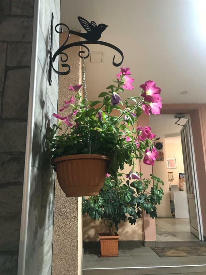 White Rose Guest Rooms Burgas City Eksteriør billede